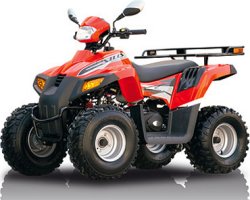 Квадроцикл Stels ATV 110 D (603)